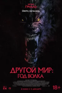 Дpyr0й ʍup: Г0д в0лka