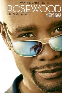 P0yʒвyд
