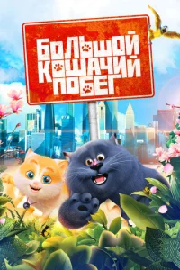ƃ0лbɯ0й k0ɯaчuй n0бer