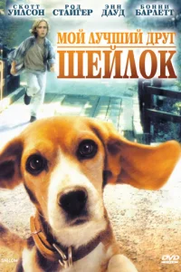 M0й лyчɯuй дpyr Ɯeйл0k