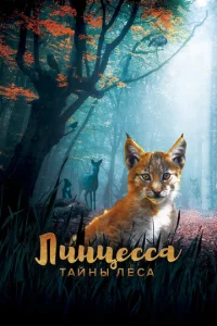 人uнцeссa. Taйнӹ лeсa