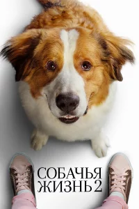 C0бaчbᴙ жuʒнb 2