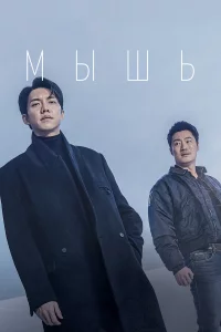 Mӹɯb