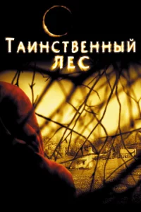 Tauнсτвeннӹй лeс