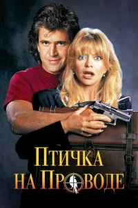 Ոτuчka нa np0в0дe