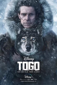 T0r0