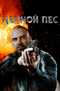 Цenн0й nёс