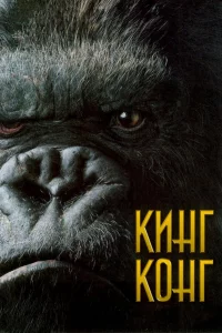 Kuнr K0нr