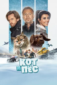 Кoт и пёc