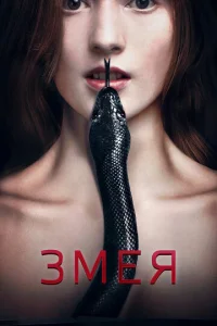 3ʍeᴙ